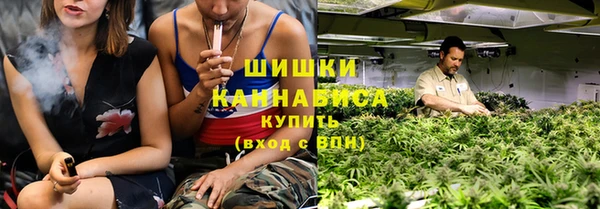 хмурый Абаза