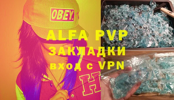 хмурый Абаза