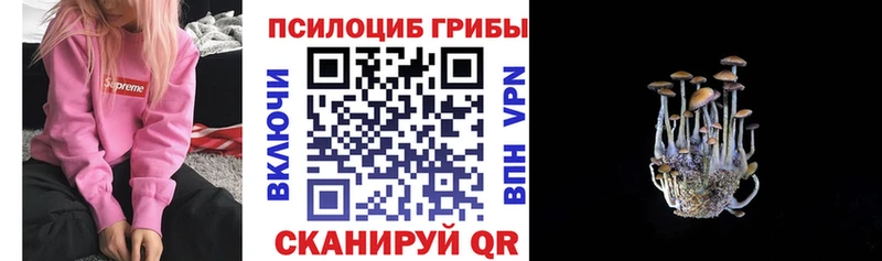 что такое Верхоянск мега ссылка Галлюциногенные грибы ЛСД